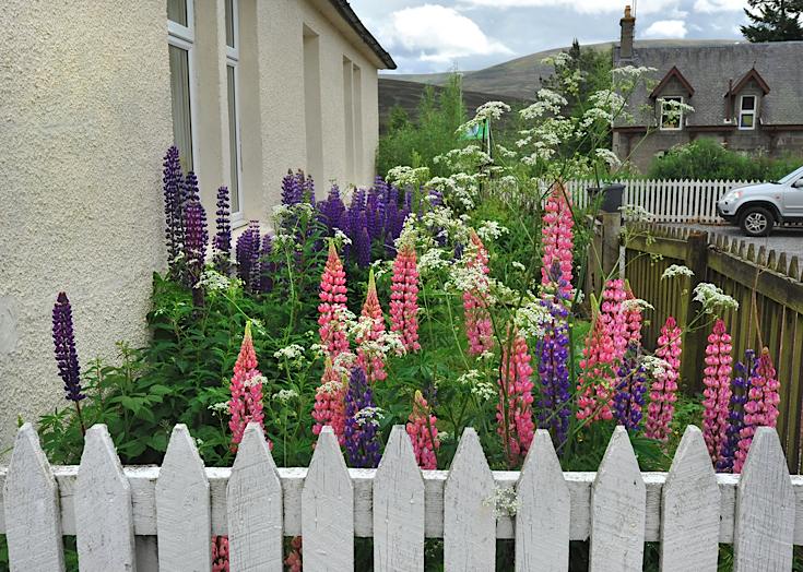 Dalwhinnie train station garden