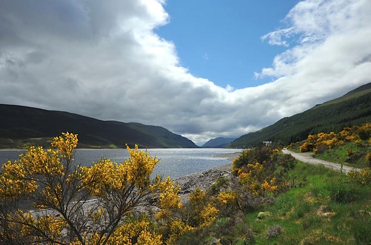 Loch Ericht in summer