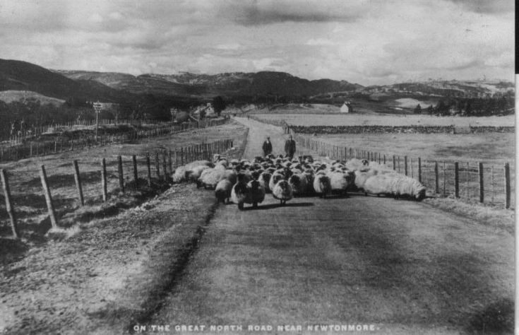 Postcard showing Mr Finlayson, shepherd at Etteridge