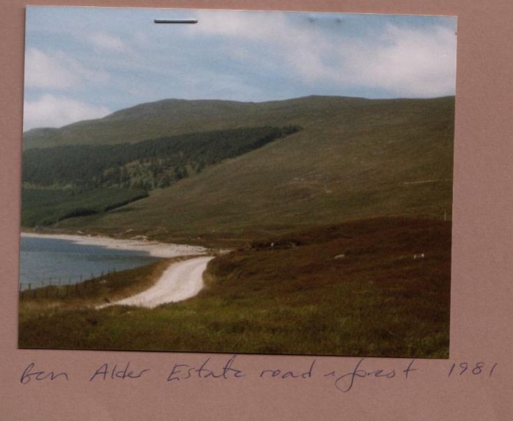 Ben Alder Estate road and forest 